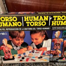 Juegos de mesa: JUEGO TORSO HUMANO SERIE NOVA CIENTIFICA DE MEDITERRANEO
