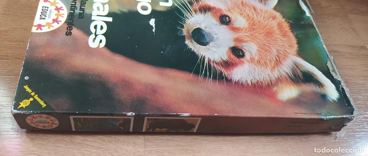Juegos de mesa: El Gran Juego de los Animales Educa - Foto 3