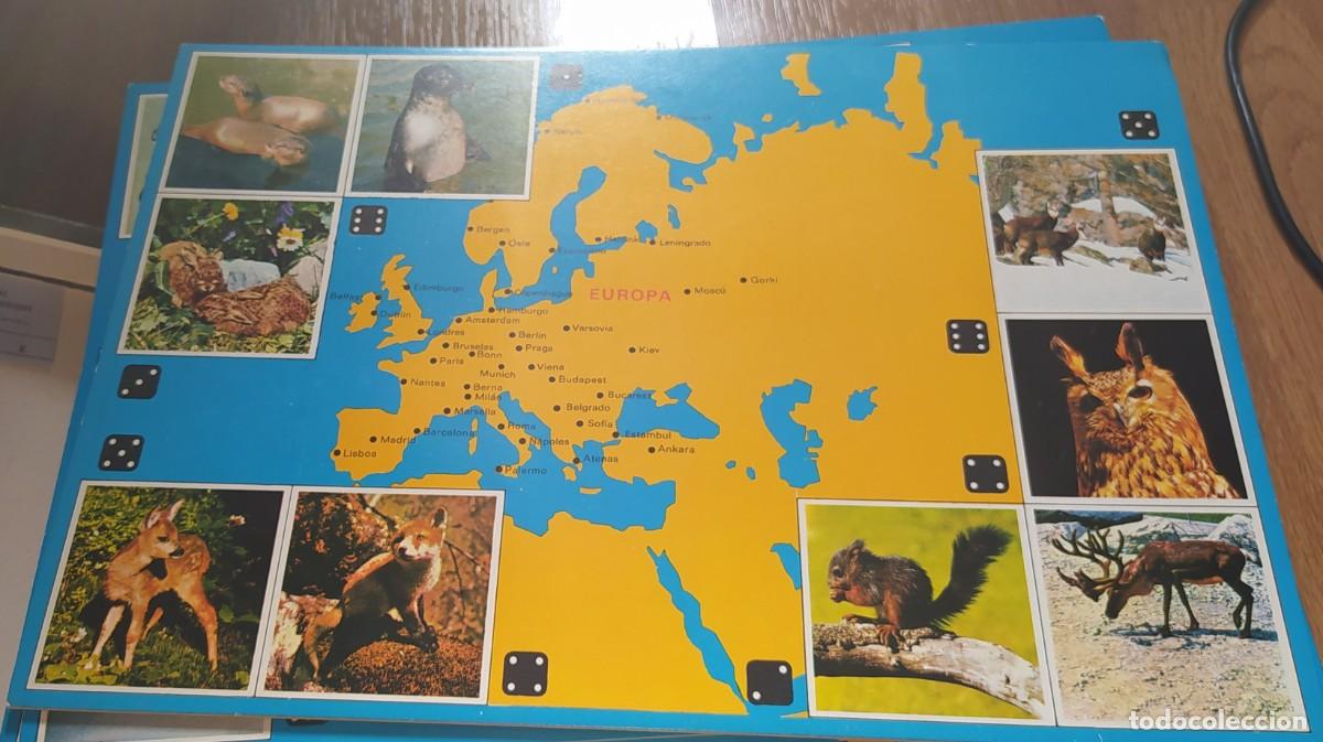 Juegos de mesa: El Gran Juego de los Animales Educa - Foto 7
