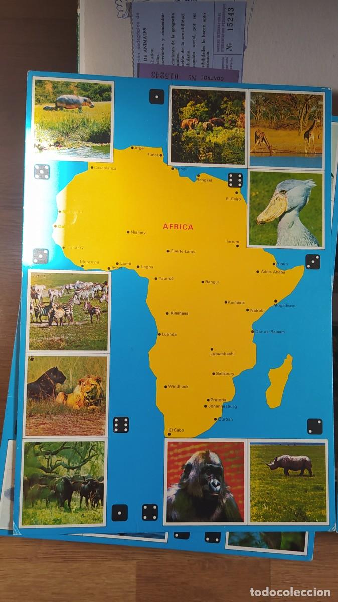 Juegos de mesa: El Gran Juego de los Animales Educa - Foto 9