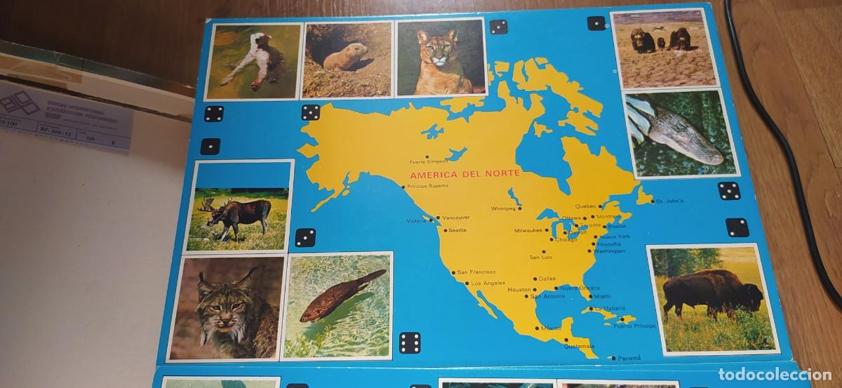 Juegos de mesa: El Gran Juego de los Animales Educa - Foto 11