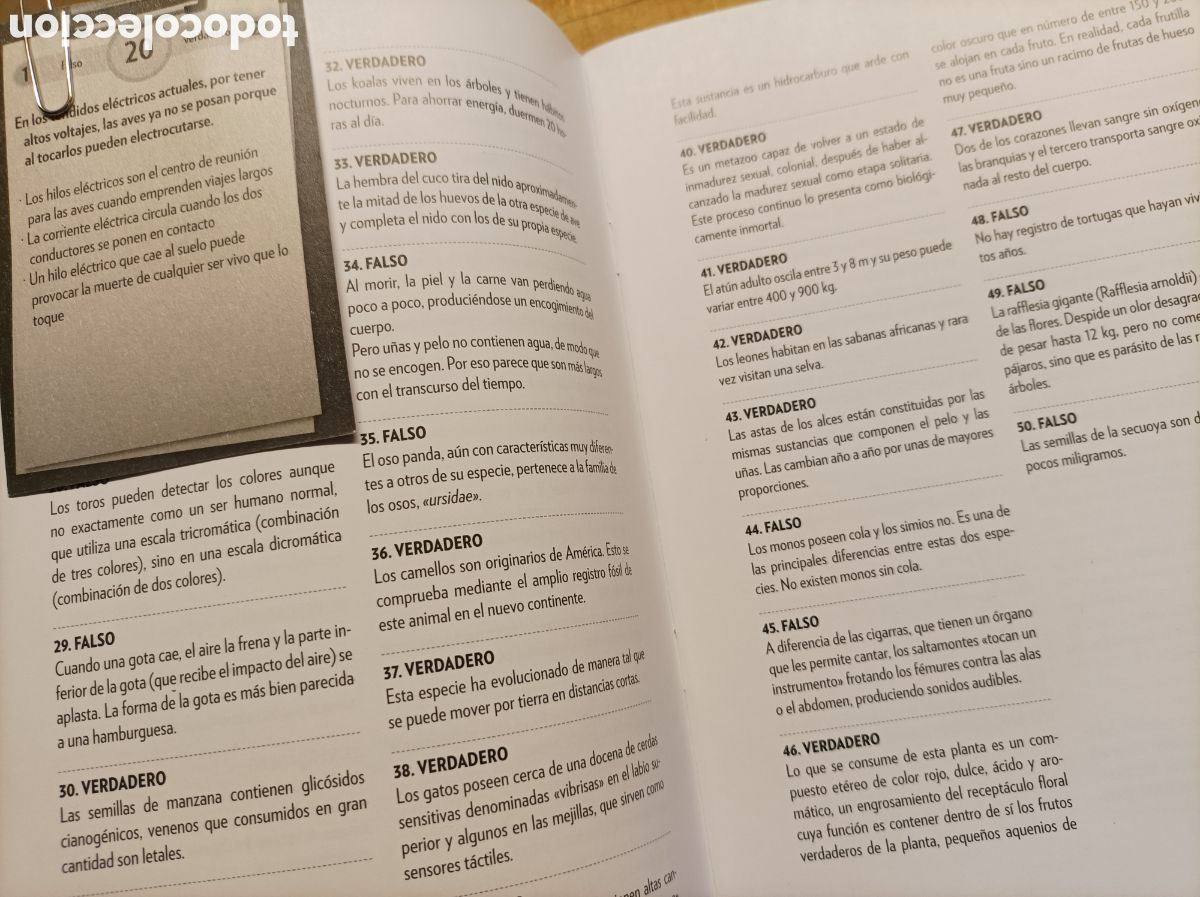 Juegos de mesa: JUEGO VEREDICTO ARGENTINA - Foto 5