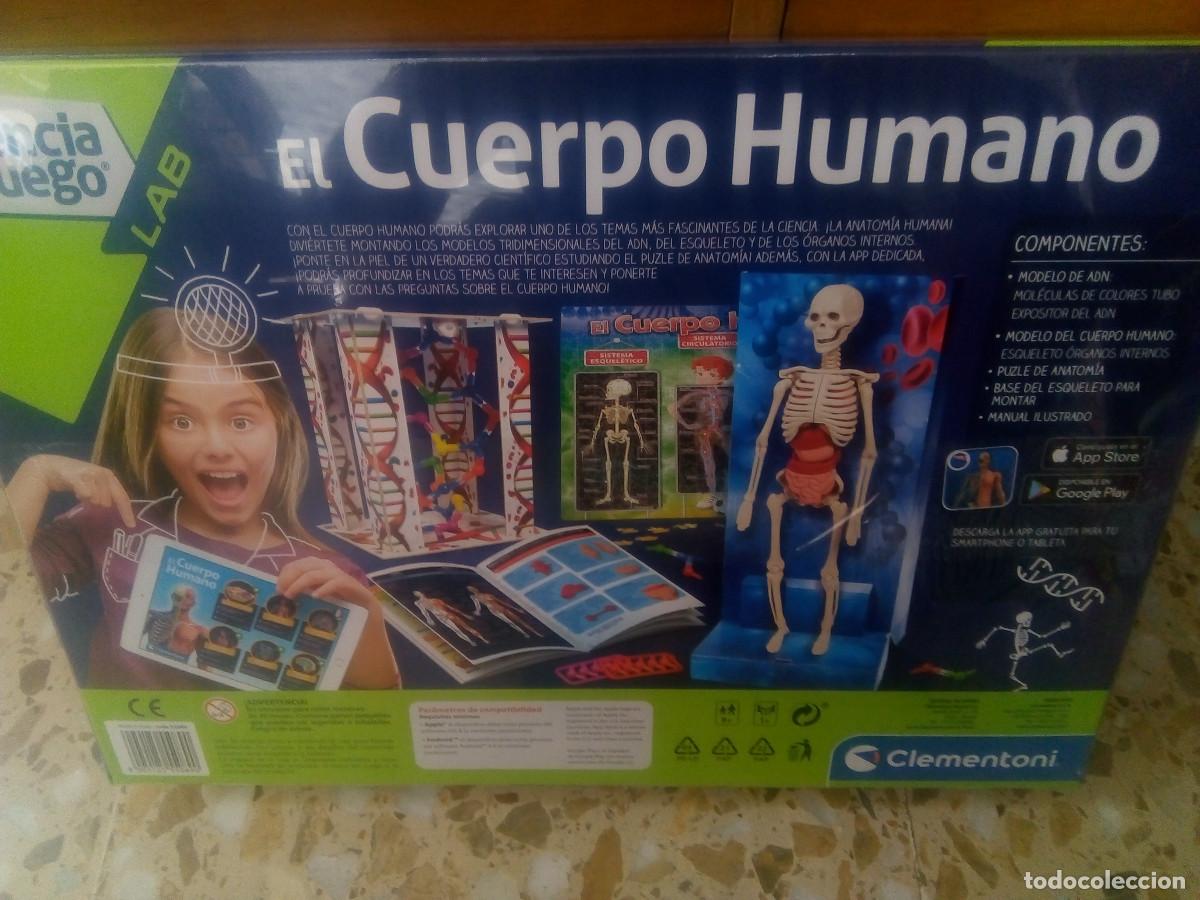 Juegos de mesa: JUEGO CUERPO HUMANO - Foto 3