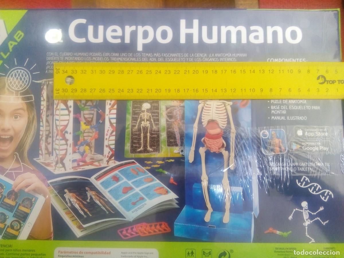 Juegos de mesa: JUEGO CUERPO HUMANO - Foto 4