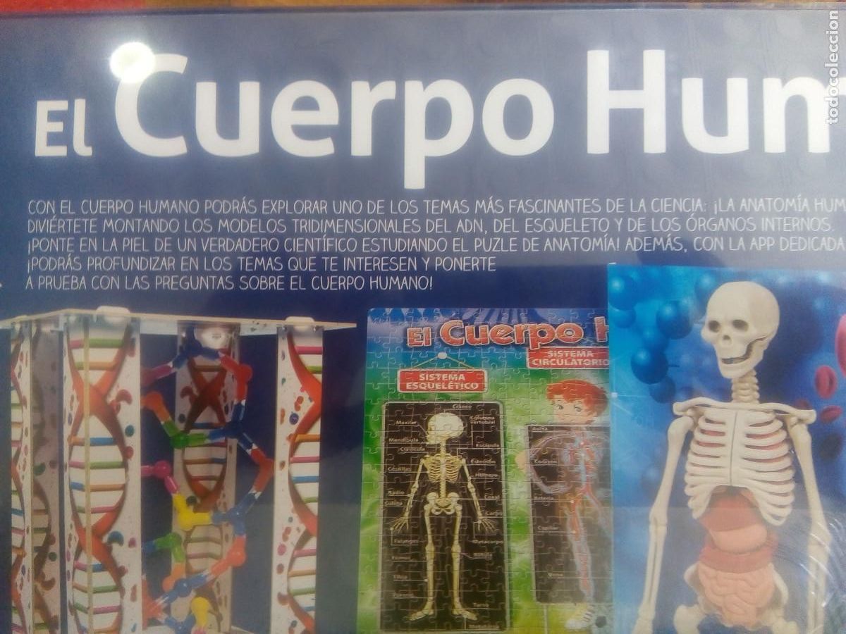 Juegos de mesa: JUEGO CUERPO HUMANO - Foto 6
