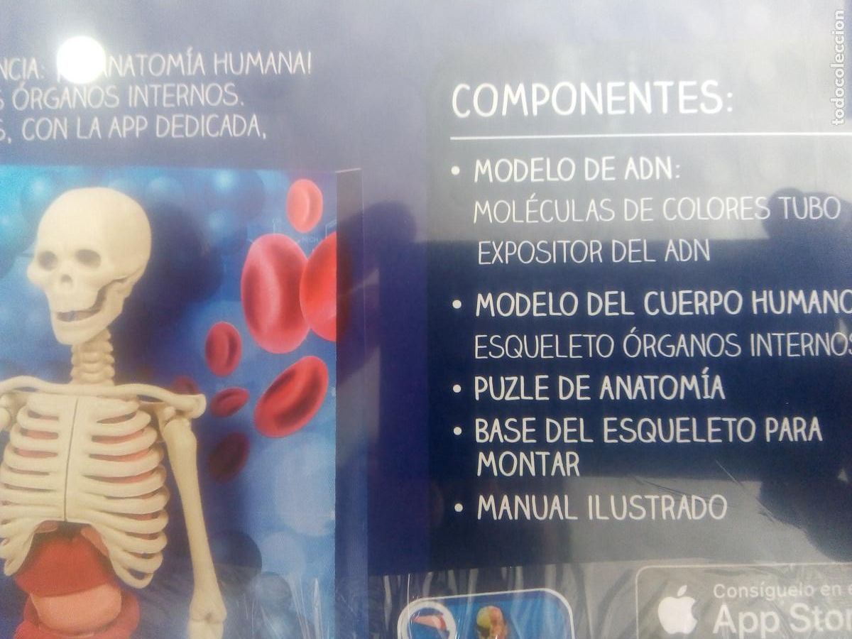 Juegos de mesa: JUEGO CUERPO HUMANO - Foto 7