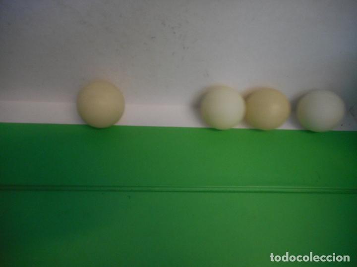 Juegos de mesa: LOTE DE 4 PELOTAS. COLOR BLANCO - Foto 2