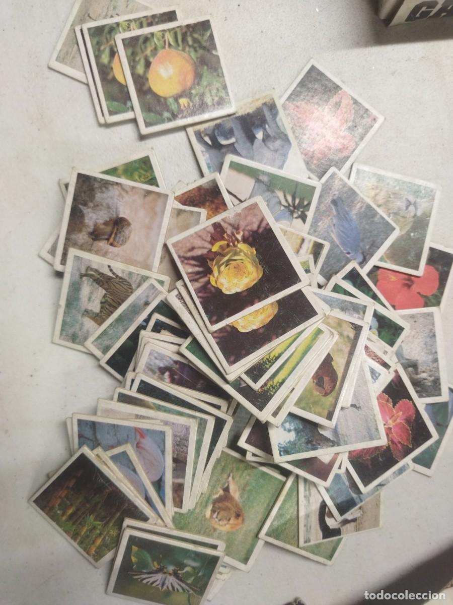 Juegos de mesa: Juego de parejas - Foto 1