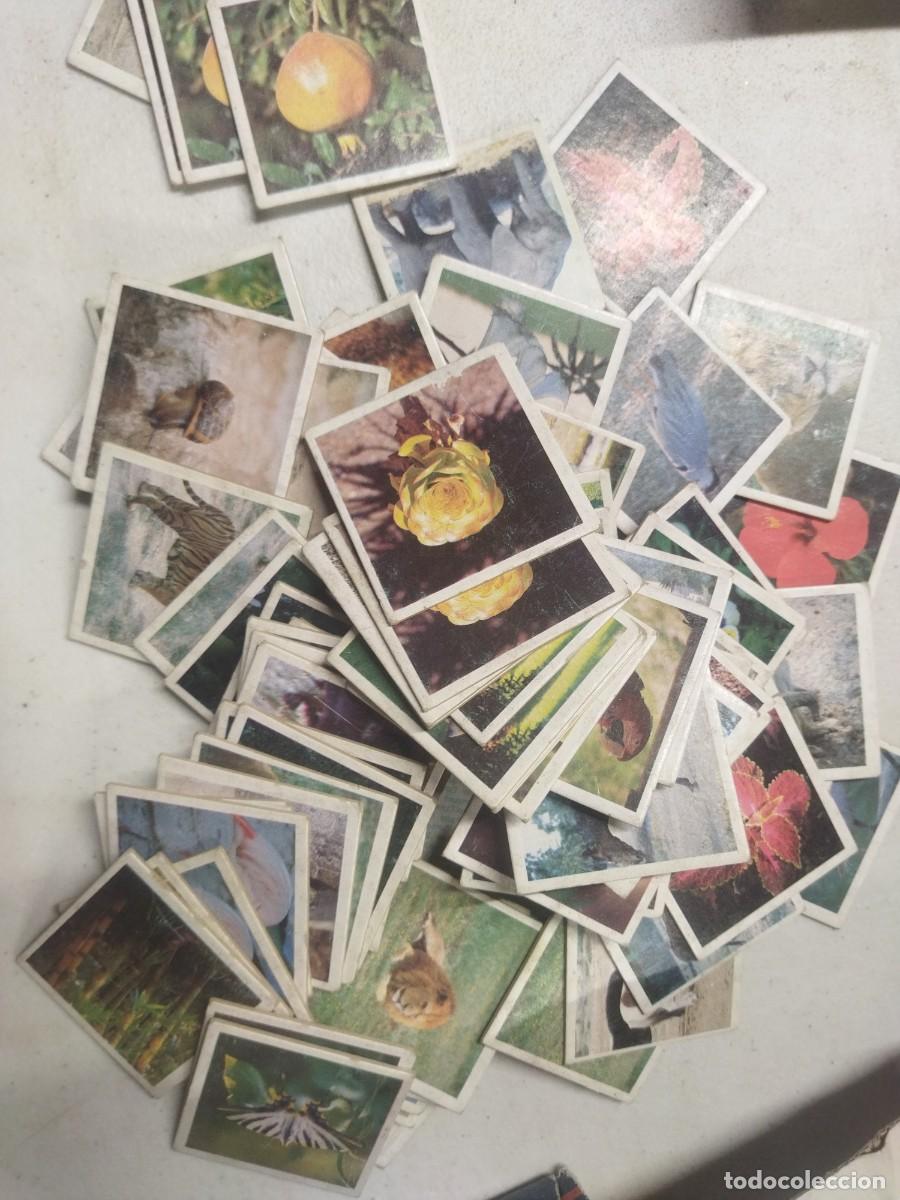 Juegos de mesa: Juego de parejas - Foto 2