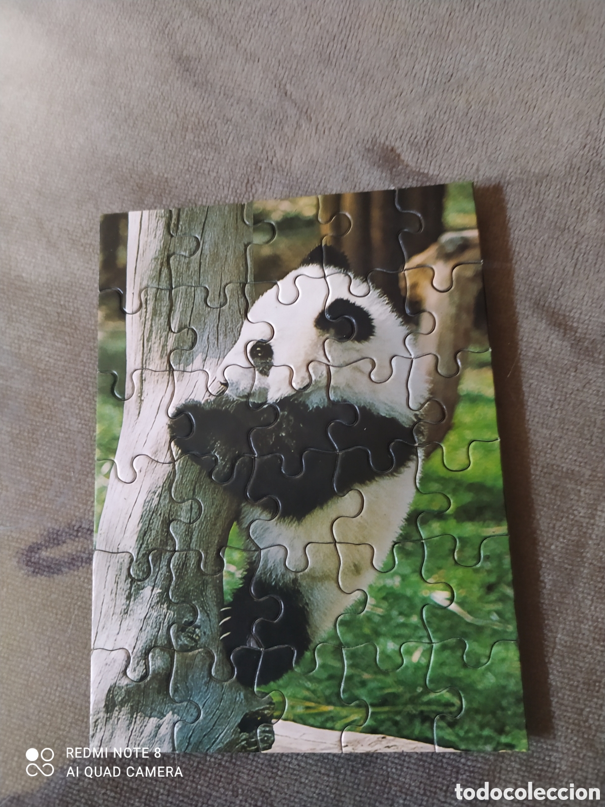 Juegos de mesa: Puzzle Antiguos de Osos Panda - Foto 6