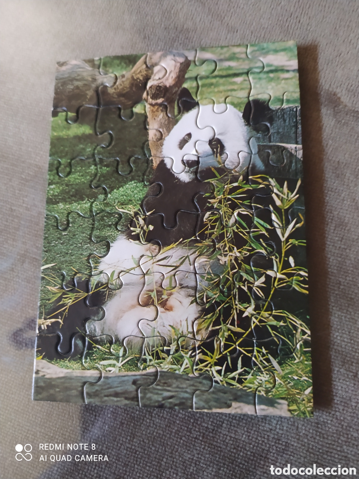 Juegos de mesa: Puzzle Antiguos de Osos Panda - Foto 7