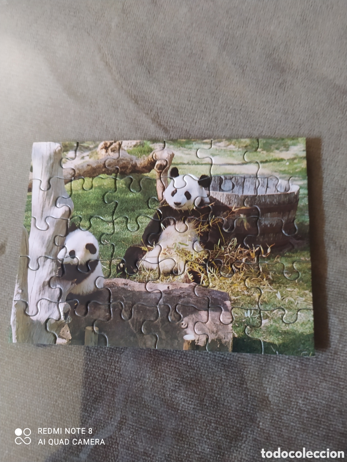 Juegos de mesa: Puzzle Antiguos de Osos Panda - Foto 8