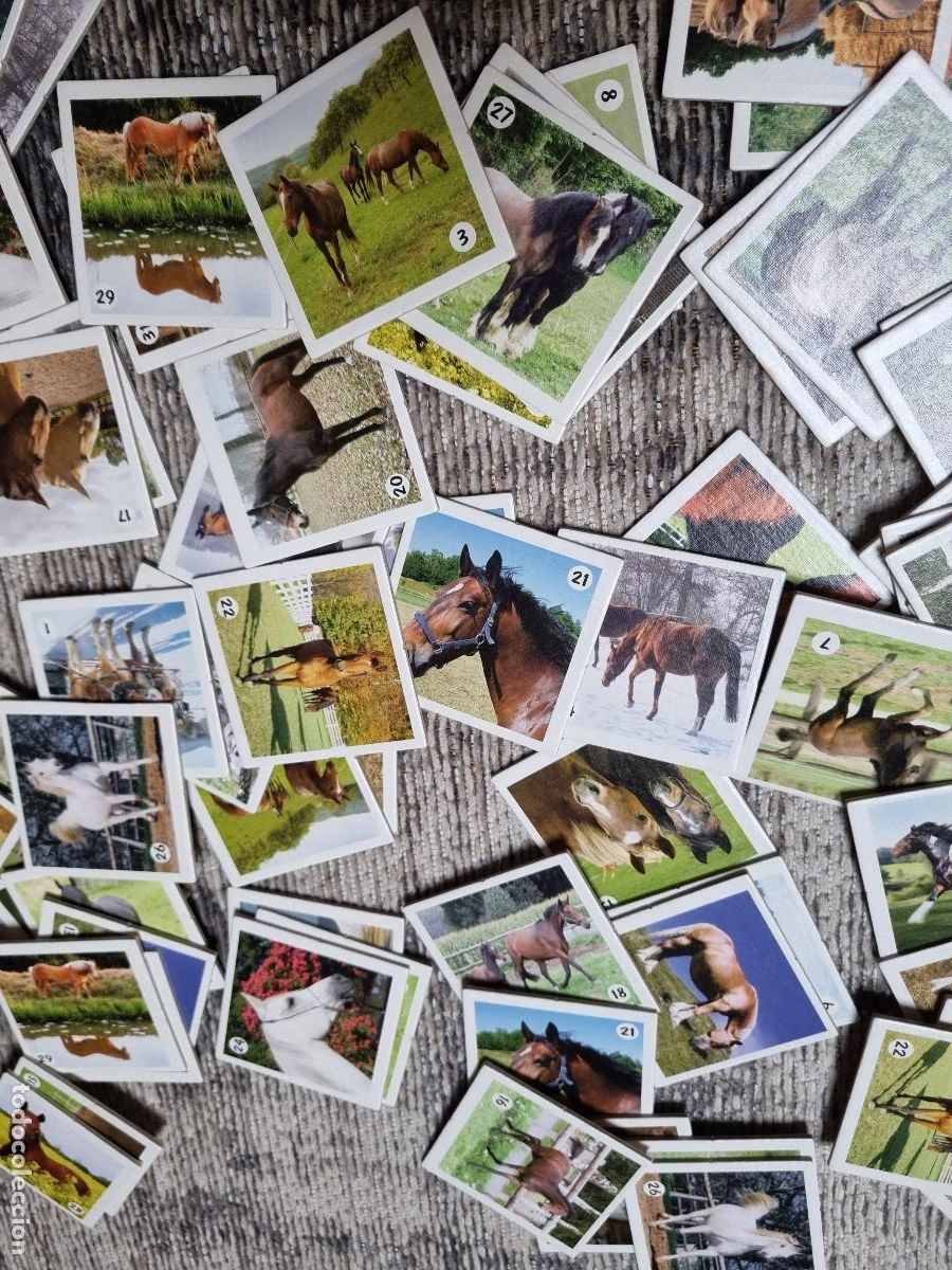 Juegos de mesa: MEMO DE CABALLOS - JUEGO DE MEMORIA - Foto 5