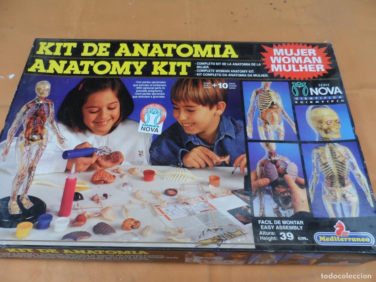 Juegos de mesa: JUEGO MICRONOVA ANATOMIA MUJER - Foto 1