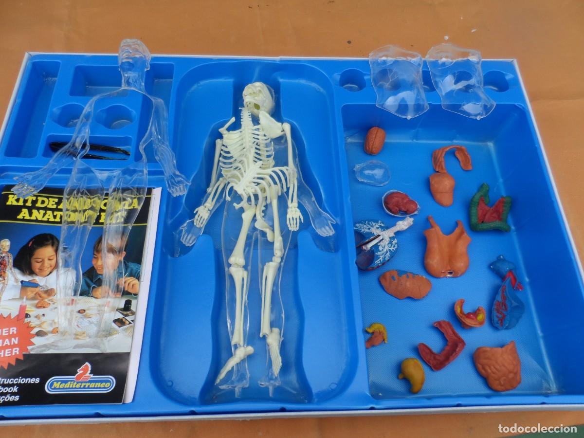 Juegos de mesa: JUEGO MICRONOVA ANATOMIA MUJER - Foto 2