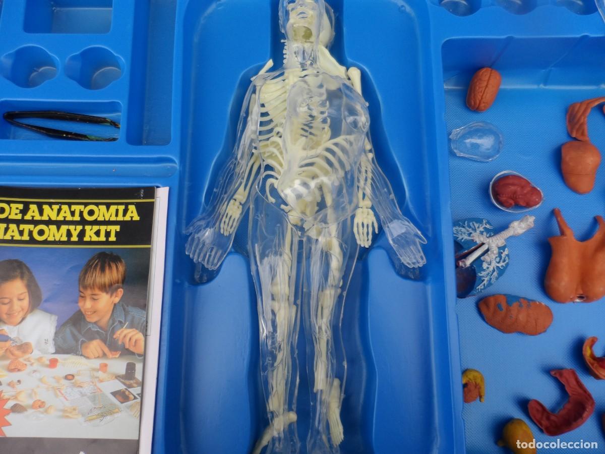 Juegos de mesa: JUEGO MICRONOVA ANATOMIA MUJER - Foto 3