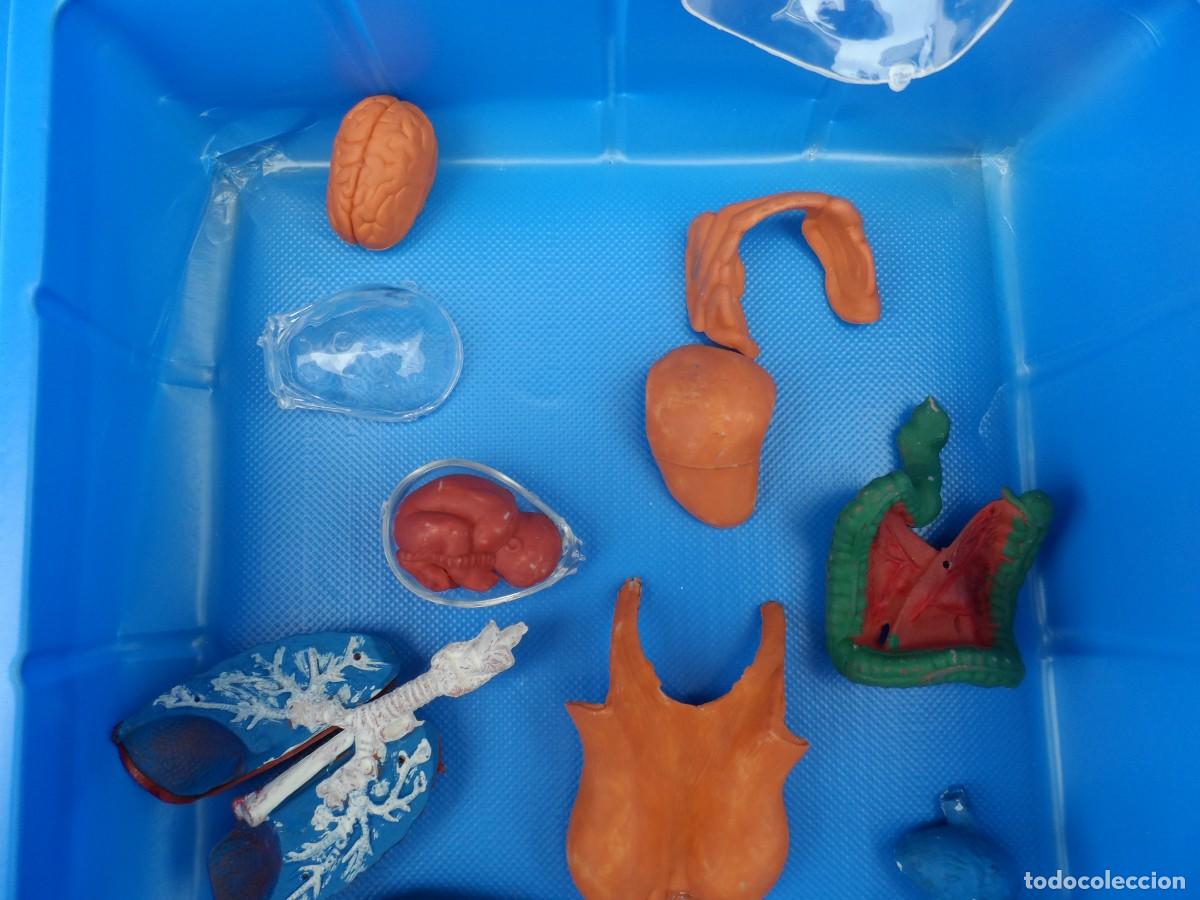 Juegos de mesa: JUEGO MICRONOVA ANATOMIA MUJER - Foto 5