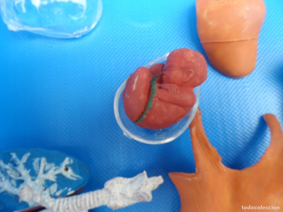 Juegos de mesa: JUEGO MICRONOVA ANATOMIA MUJER - Foto 6
