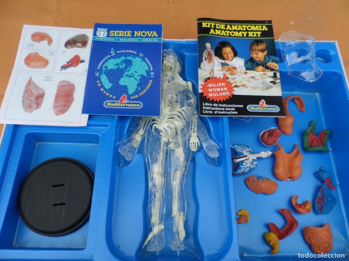 Juegos de mesa: JUEGO MICRONOVA ANATOMIA MUJER - Foto 7