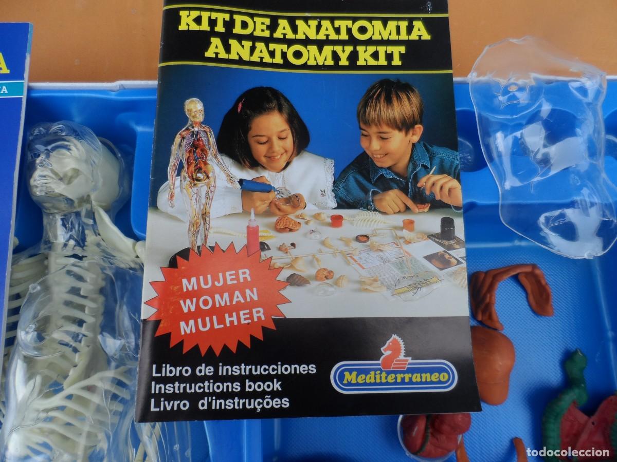 Juegos de mesa: JUEGO MICRONOVA ANATOMIA MUJER - Foto 8