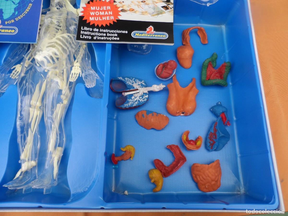 Juegos de mesa: JUEGO MICRONOVA ANATOMIA MUJER - Foto 9
