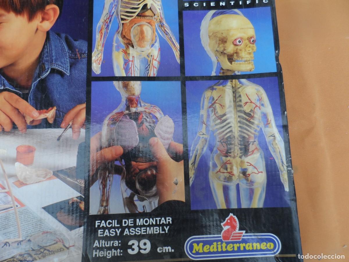 Juegos de mesa: JUEGO MICRONOVA ANATOMIA MUJER - Foto 10