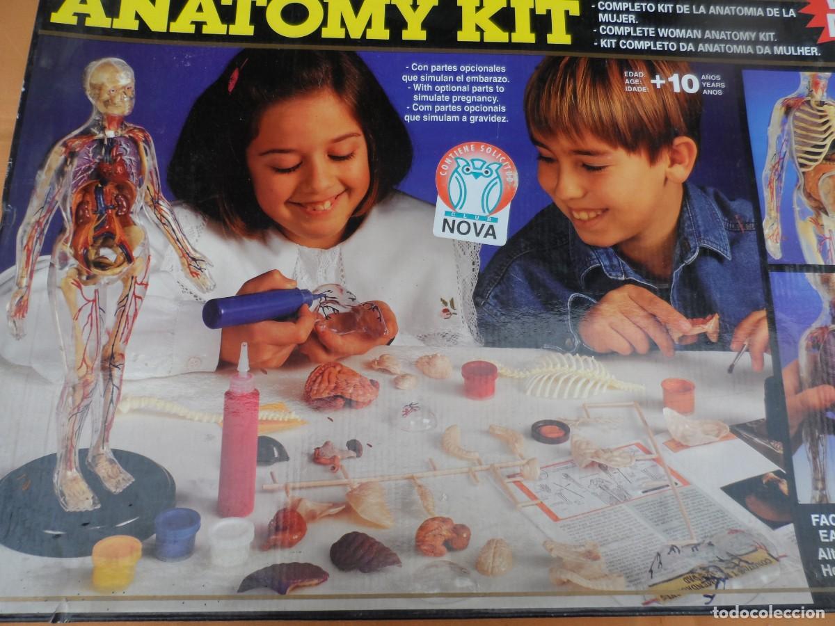 Juegos de mesa: JUEGO MICRONOVA ANATOMIA MUJER - Foto 11