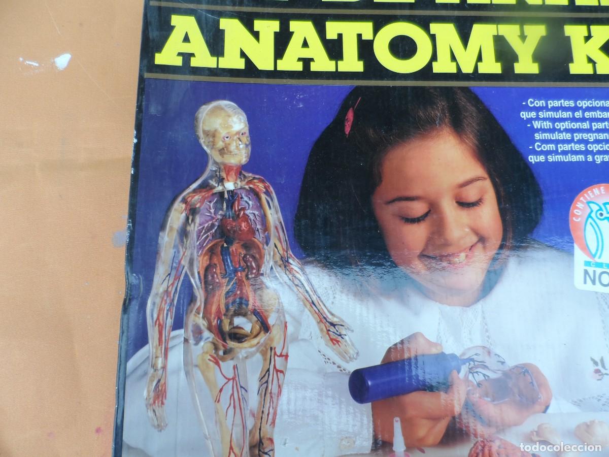 Juegos de mesa: JUEGO MICRONOVA ANATOMIA MUJER - Foto 12