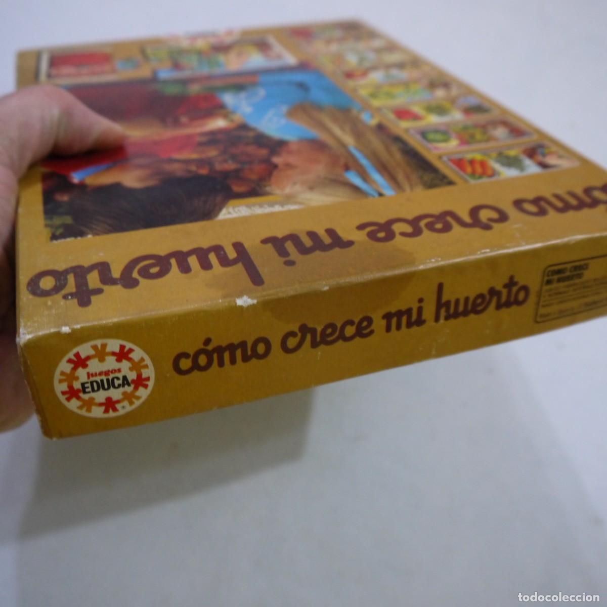 Juegos de mesa: C&Oacute;MO CRECE MI HUERTO - EDUCA - 1983 - Foto 3