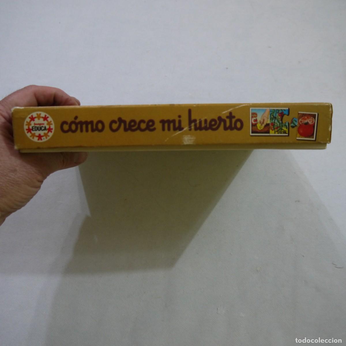 Juegos de mesa: C&Oacute;MO CRECE MI HUERTO - EDUCA - 1983 - Foto 5