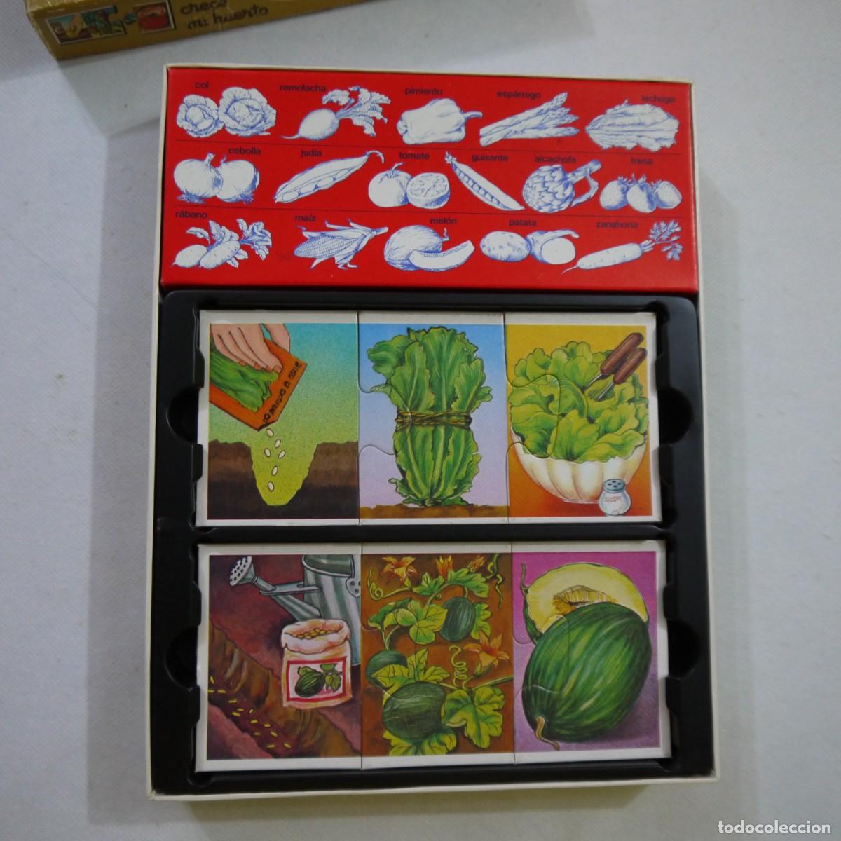 Juegos de mesa: C&Oacute;MO CRECE MI HUERTO - EDUCA - 1983 - Foto 8