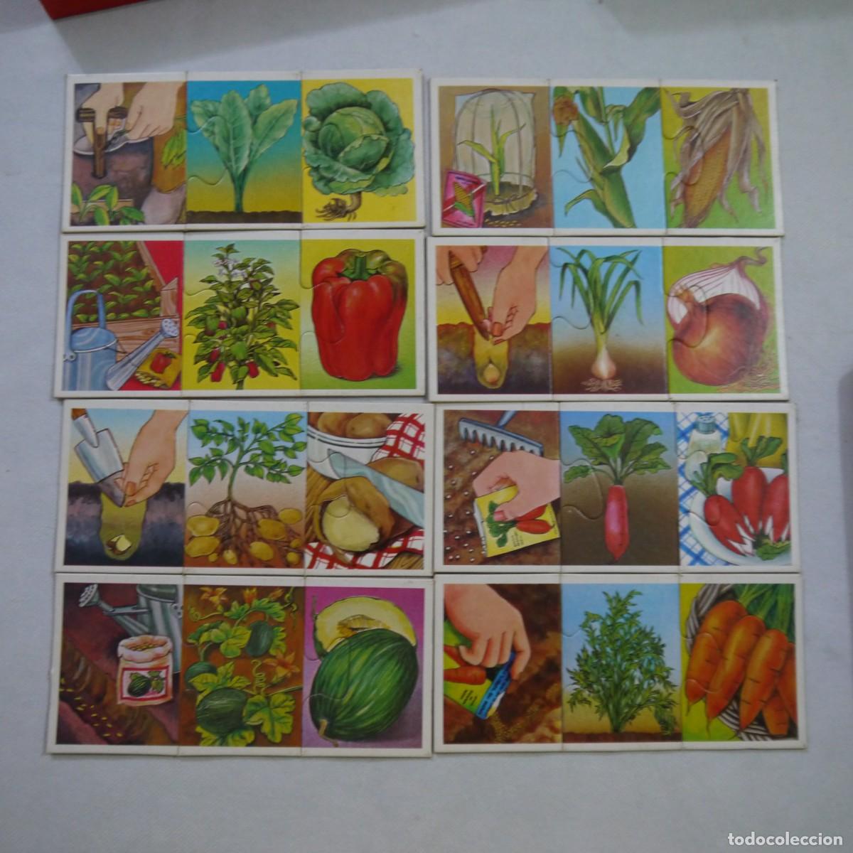 Juegos de mesa: C&Oacute;MO CRECE MI HUERTO - EDUCA - 1983 - Foto 11