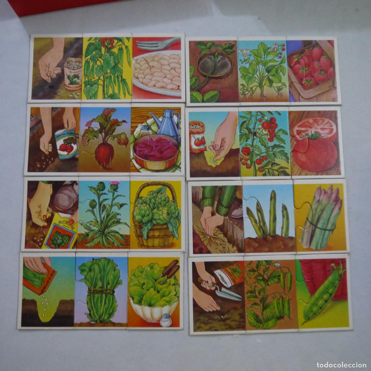 Juegos de mesa: C&Oacute;MO CRECE MI HUERTO - EDUCA - 1983 - Foto 12