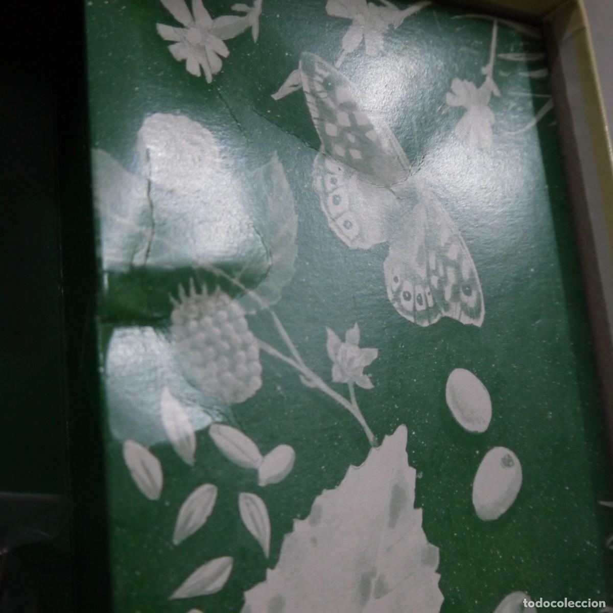 Juegos de mesa: ALPHA NATURE - THE GREEN BOARD GAME CO. - Foto 11