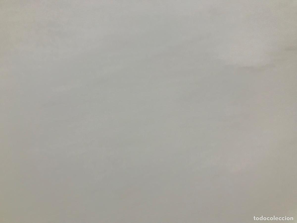 Juegos de mesa: Juego de mesa El valle de los dinosaurios de borras - Foto 26