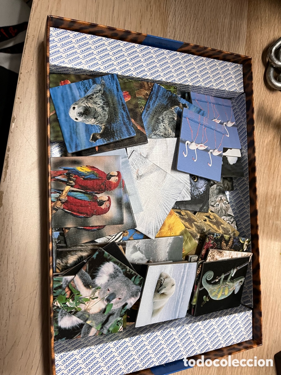 Juegos de mesa: Juego de mesa memo completo - Foto 2