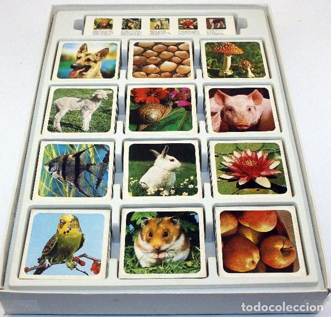 Juegos de mesa: Natur Memory Juego de memoria - Foto 3