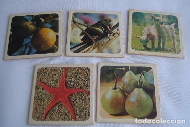 Juegos de mesa: Natur Memory Juego de memoria - Foto 4