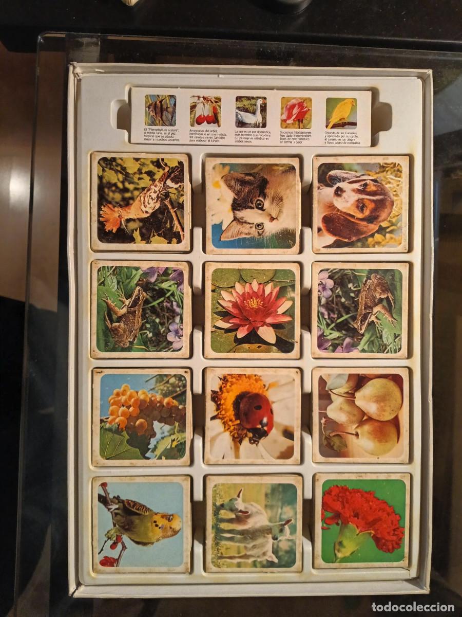 Juegos de mesa: Natur Memory Juego de memoria - Foto 6