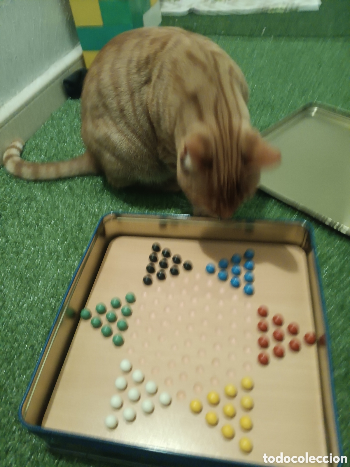 Juegos de mesa: Damas chinas Pavillion Caja de lata