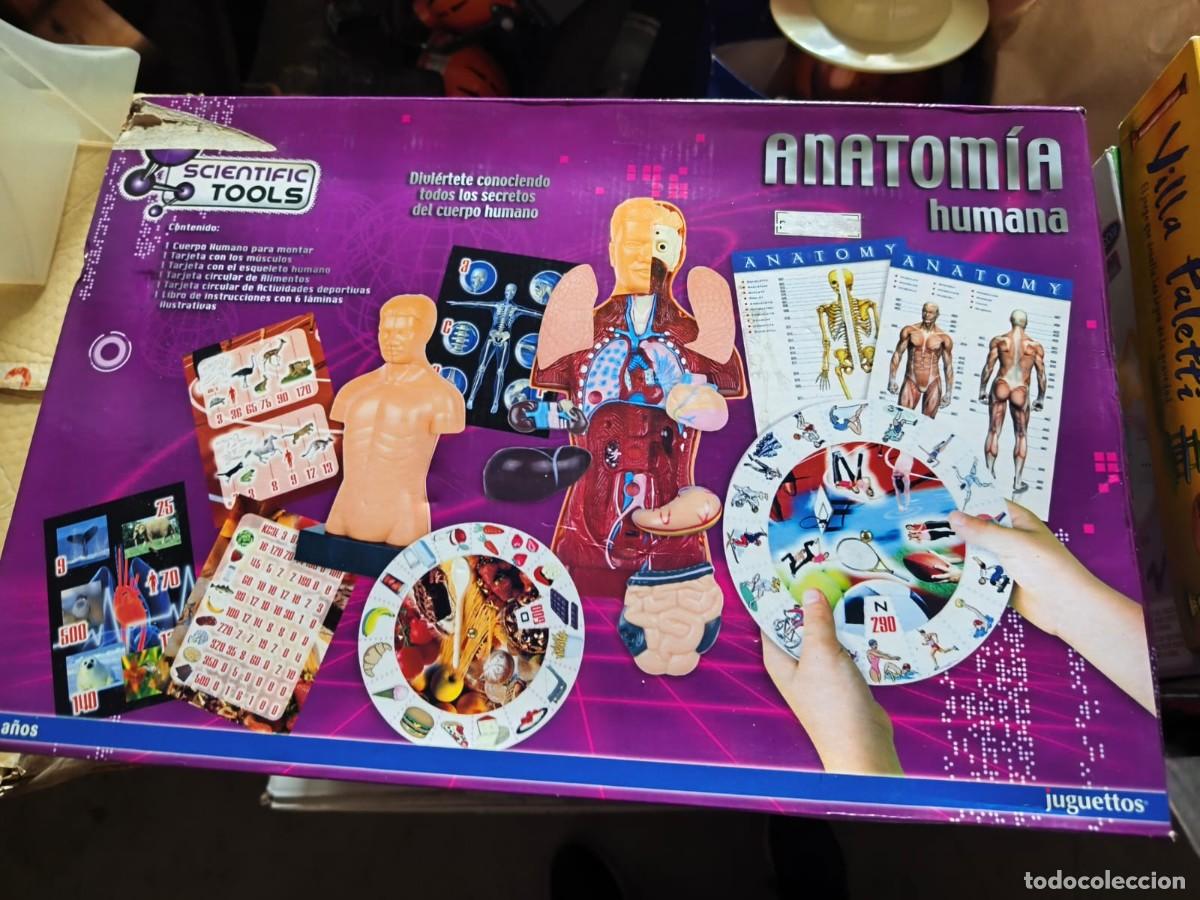 Juegos de mesa: o Anatom&iacute;a Humana. Scientific Tools, distribuido por la cadena de tiendas Juguettos. 2010