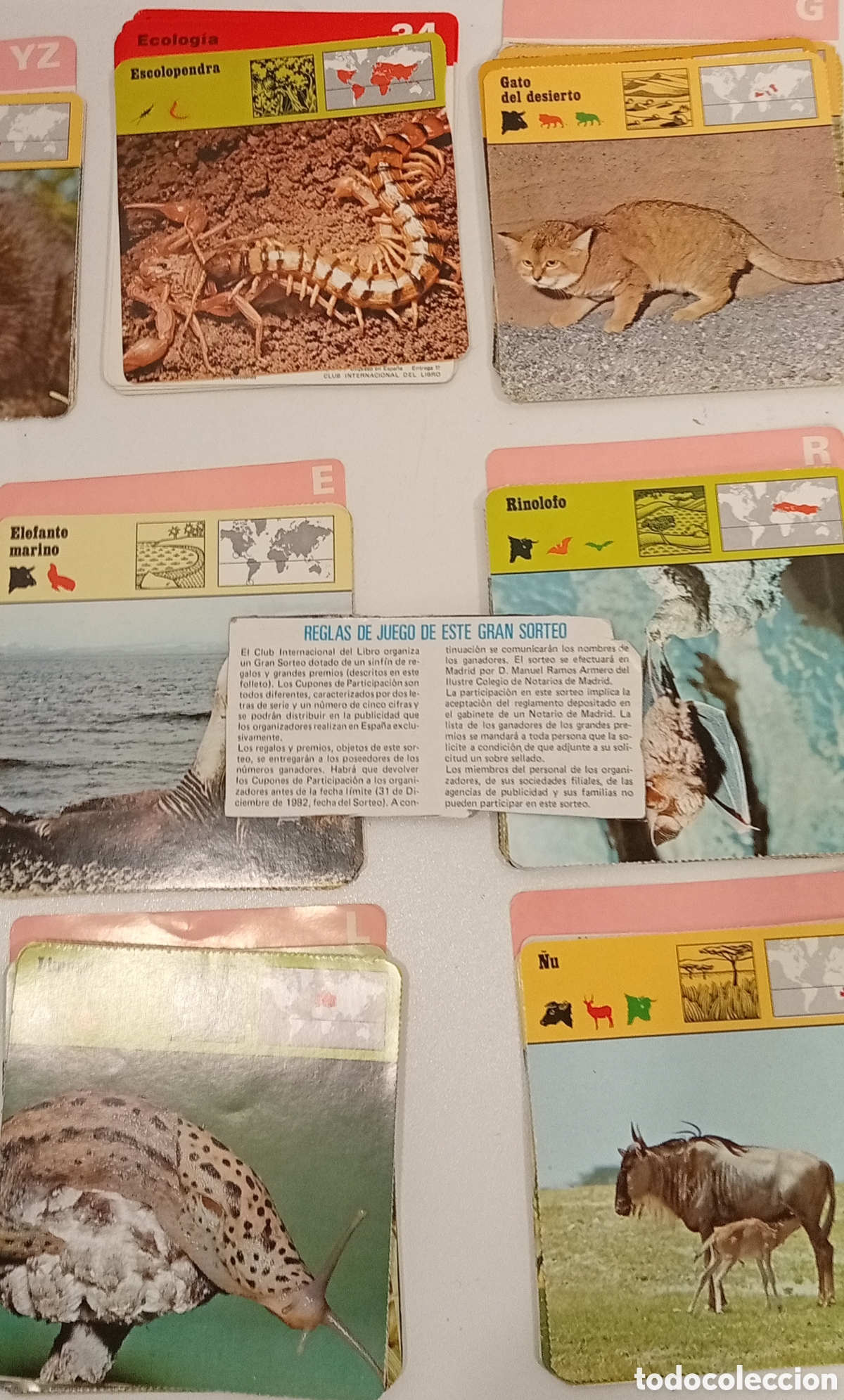 Juegos de mesa: .JUEGO GRAN SORTEO CLUB INTERNACIONAL DEL LIBRO - Foto 4