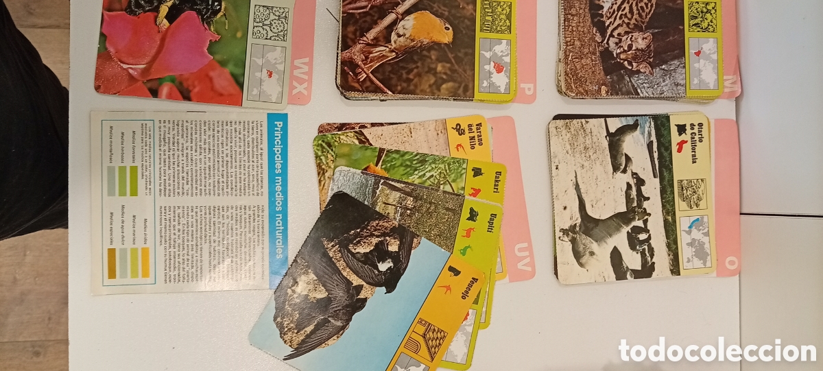 Juegos de mesa: .JUEGO GRAN SORTEO CLUB INTERNACIONAL DEL LIBRO - Foto 5