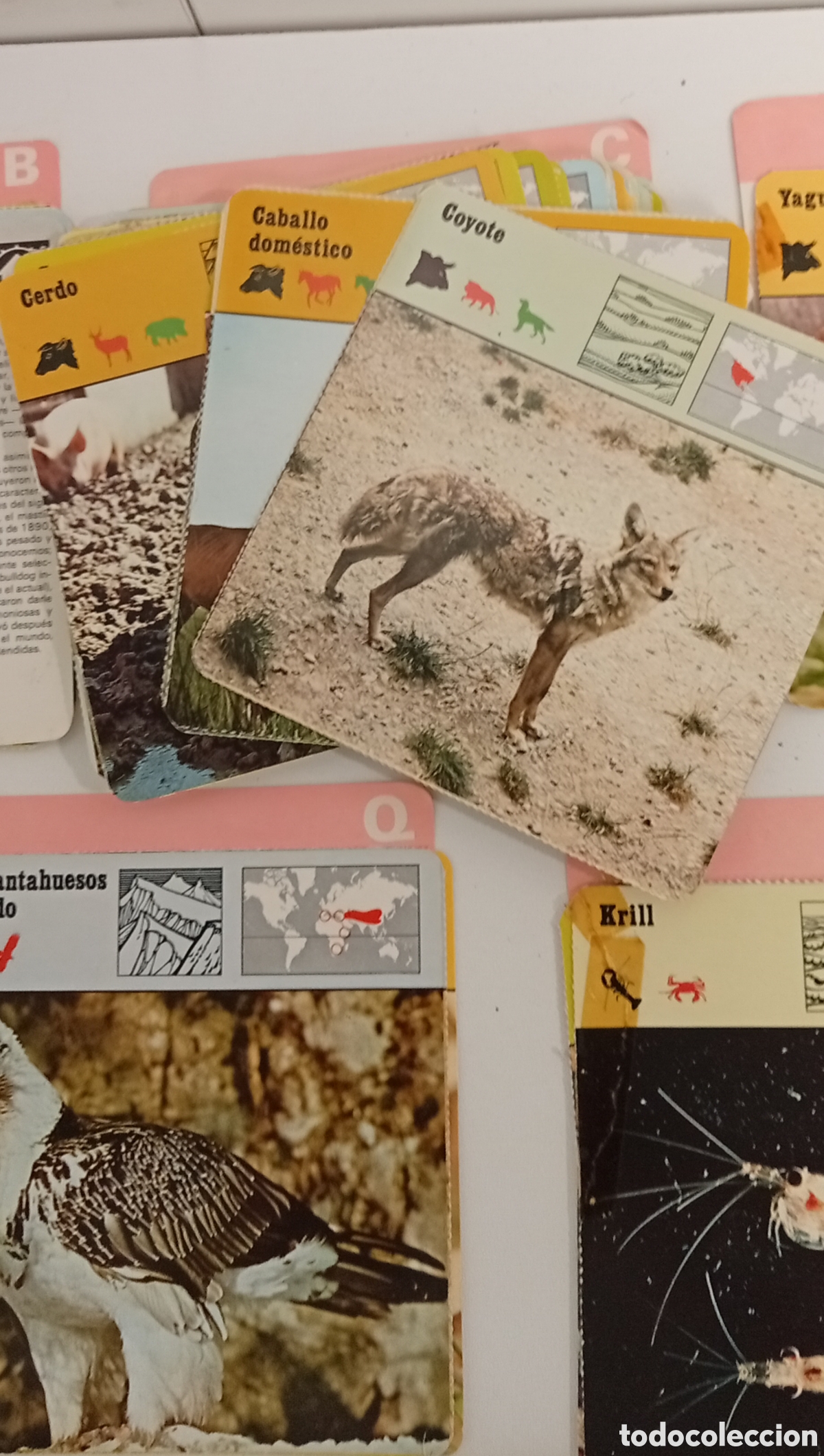 Juegos de mesa: .JUEGO GRAN SORTEO CLUB INTERNACIONAL DEL LIBRO - Foto 7