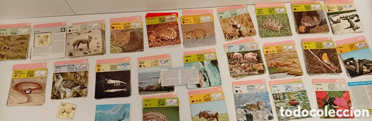 Juegos de mesa: .JUEGO GRAN SORTEO CLUB INTERNACIONAL DEL LIBRO - Foto 1