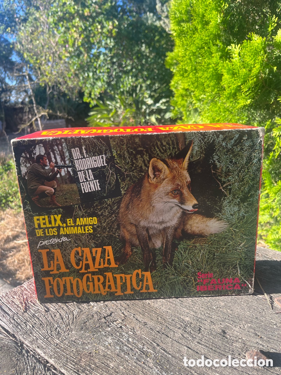 Juegos de mesa: Juego La caza fotogr&aacute;fica Felix Rodriguez de la Fuente a&ntilde;os 60