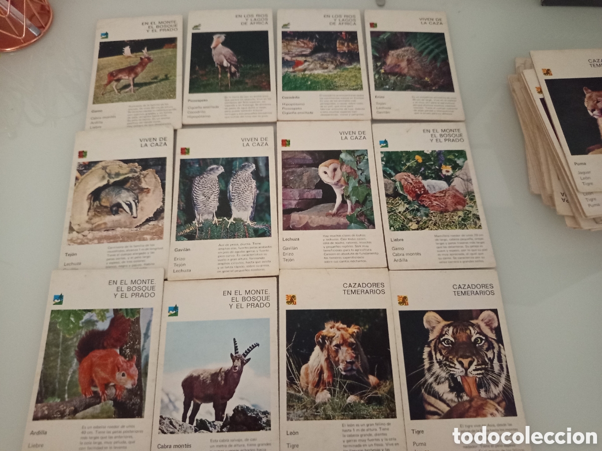Juegos de mesa: ❇️ LOTE 36 FICHAS CARTA BARAJA ANIMALES JUEGO EDUCA A&Ntilde;OS 70 ❇️