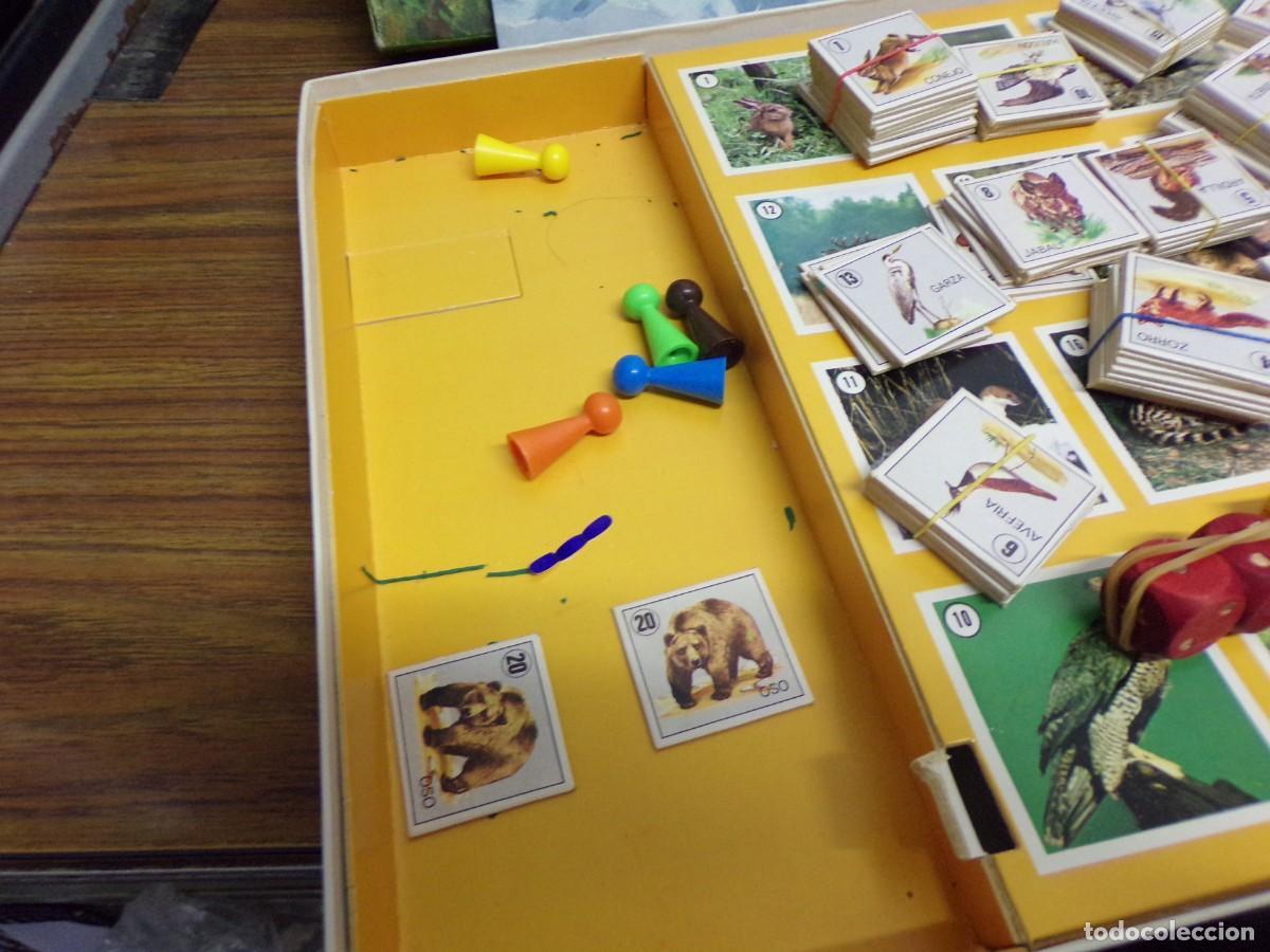 Juegos de mesa: juego de mesa la gran caceria educa - Foto 9