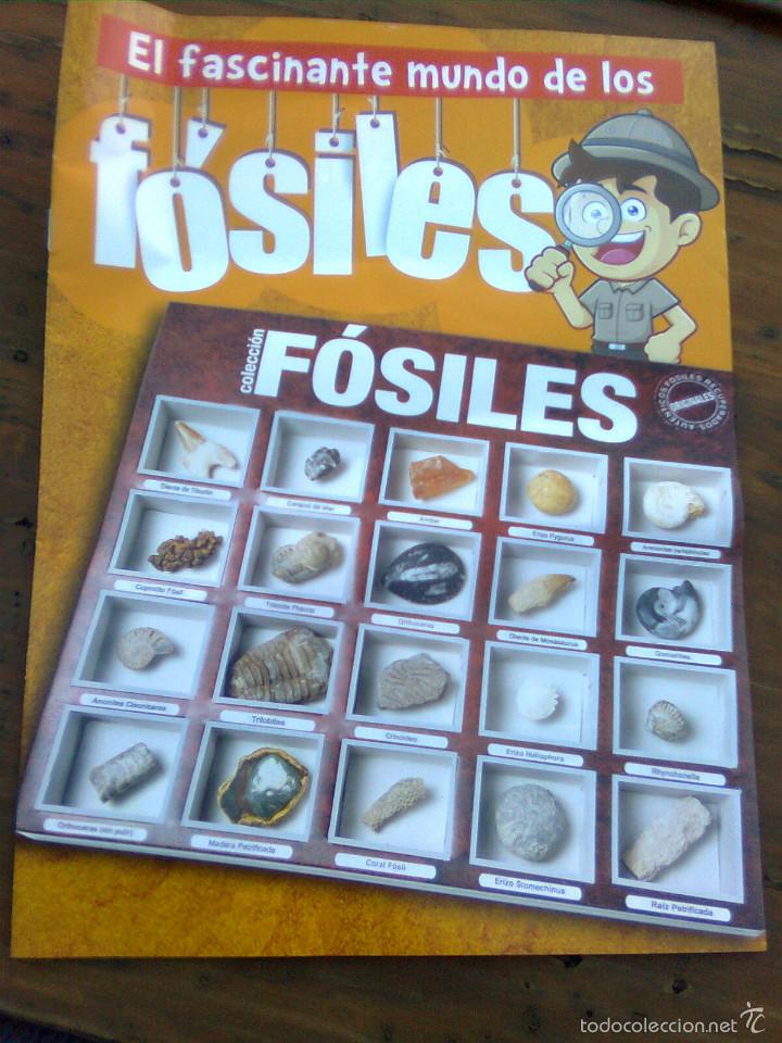 Juguetes antiguos: El fascinante mundo de los f&oacute;siles - folleto introductorio 12 pgs -