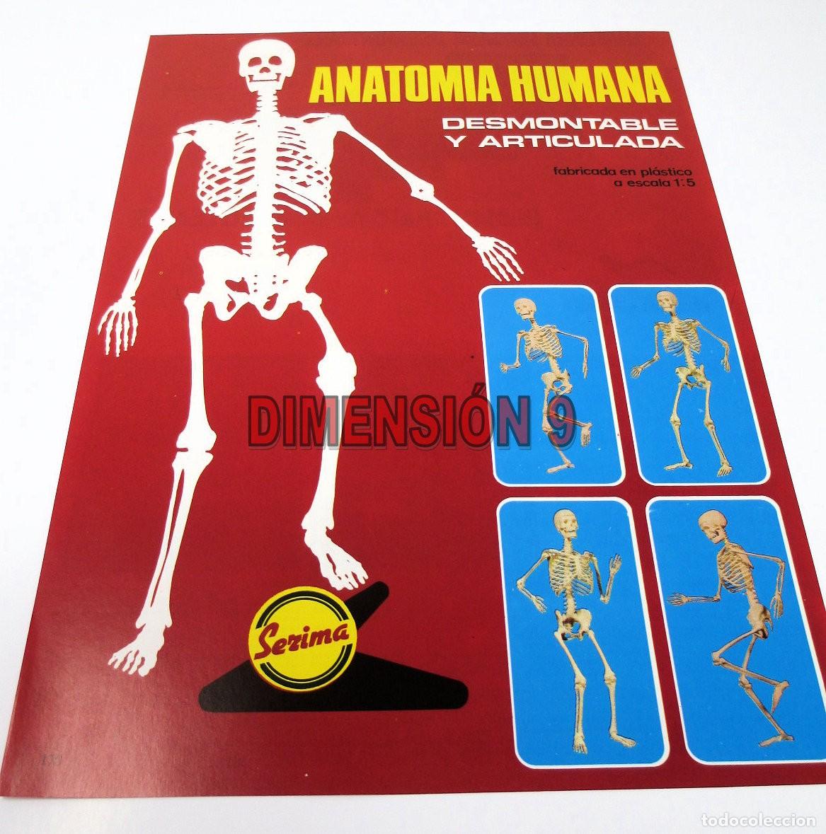 Jouets Anciens: Publicidad (Recorte de Publicaci&oacute;n) - 30 x 22 cm. ANATOM&Iacute;A HUMANA (Serima) a doble cara - 1973